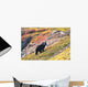 Black Bear Foraging for Wall Decal