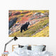 Black Bear Foraging for Wall Decal