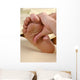 spa reflexology foot massage treatment Wall Mural