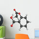 Molecule Chimie Wall Decal