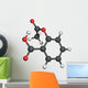 Molecule Chimie Wall Decal