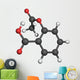 Molecule Chimie Wall Decal