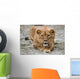 Lioness Wall Mural