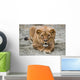 Lioness Wall Mural