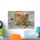 Lioness Wall Mural