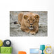 Lioness Wall Mural