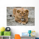 Lioness Wall Mural