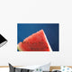 Watermelon Wall Mural