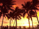 Sunset Honolulu Wall Decal