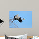 Heron Wall Mural