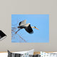 Heron Wall Mural
