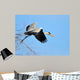 Heron Wall Mural