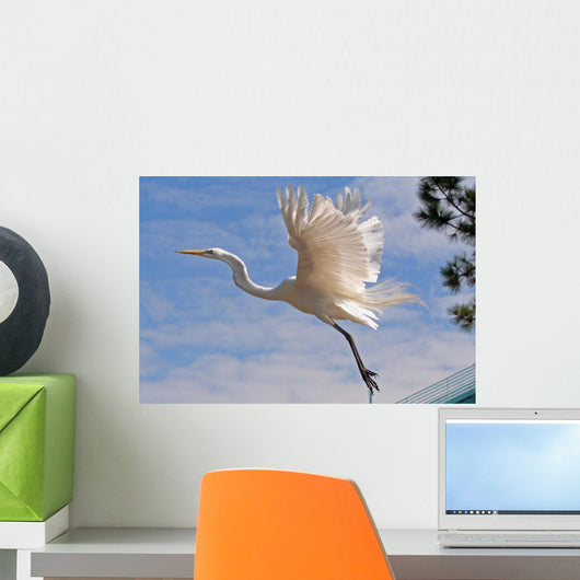 Flight Wall Decal