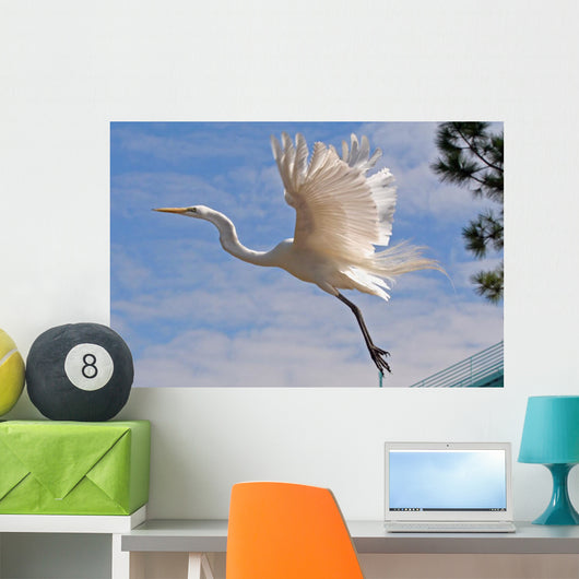 Flight Wall Decal
