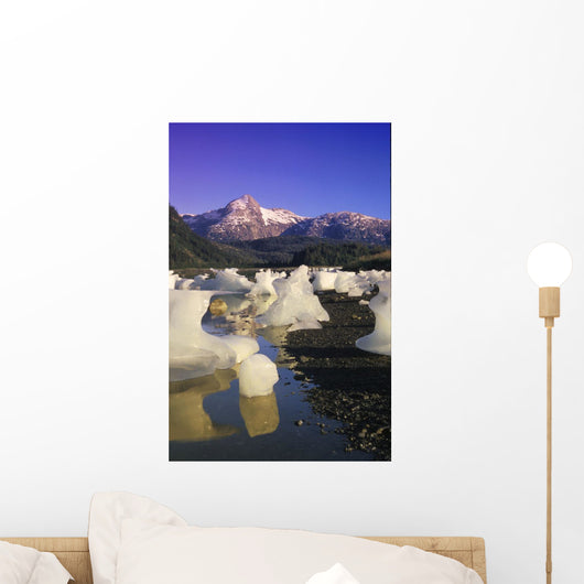 Icebergs Beach Derickson Bay Wall Decal