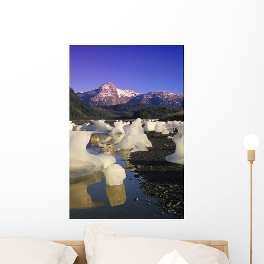 Icebergs Beach Derickson Bay Wall Decal