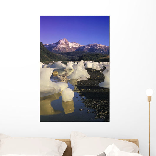 Icebergs Beach Derickson Bay Wall Decal