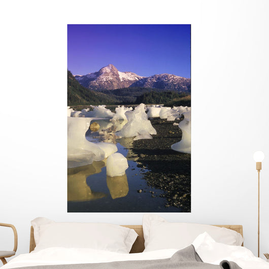 Icebergs Beach Derickson Bay Wall Decal
