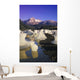 Icebergs Beach Derickson Bay Wall Decal