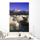 Icebergs Beach Derickson Bay Wall Decal