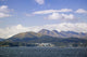 City Kodiak Wall Decal