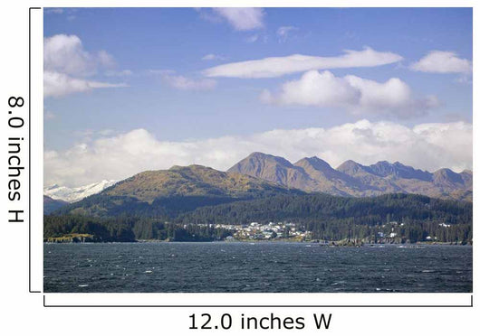 City Kodiak Wall Decal