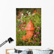 Fire Hydrant Flowers Kodiak Wall Decal
