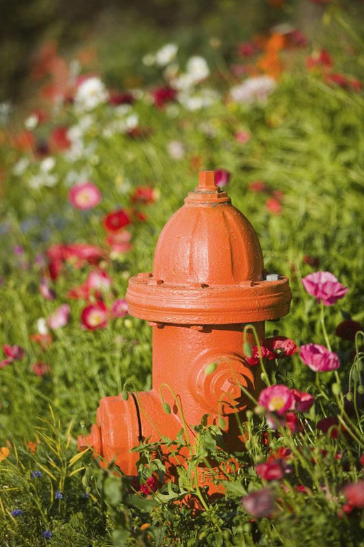 Fire Hydrant Flowers Kodiak Wall Decal