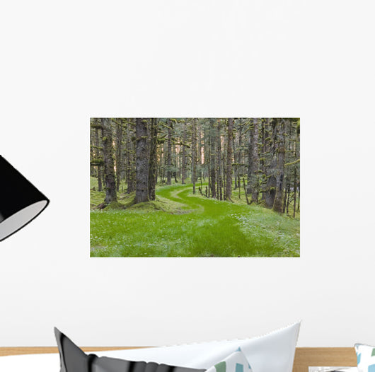 Overgrown Old Road through Wall Decal