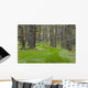 Overgrown Old Road through Wall Decal