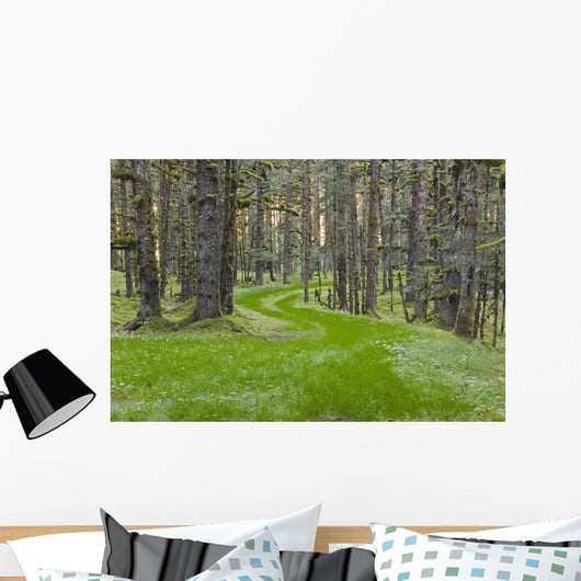 Overgrown Old Road through Wall Decal