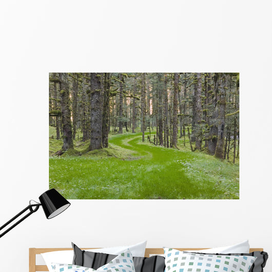 Overgrown Old Road through Wall Decal