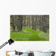Overgrown Old Road through Wall Decal