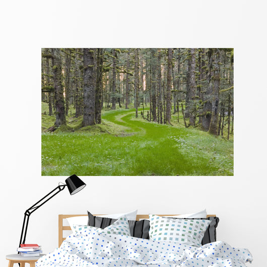 Overgrown Old Road through Wall Decal