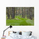 Overgrown Old Road through Wall Decal
