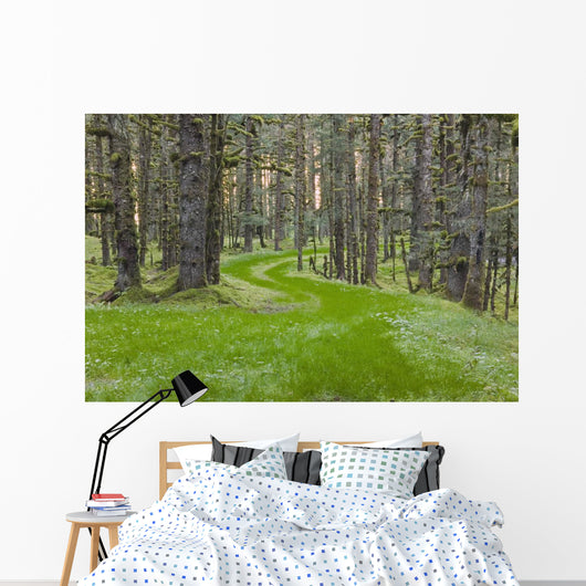 Overgrown Old Road through Wall Decal