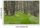 Overgrown Old Road through Wall Decal