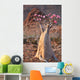 Bottle Tree - Adenium Obesum â€“ Endemic Tree of Socotra Island Wall Mural