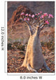 Bottle Tree - Adenium Obesum â€“ Endemic Tree of Socotra Island Wall Mural