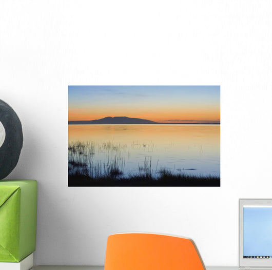 Sunset over Mount Susitna Wall Decal