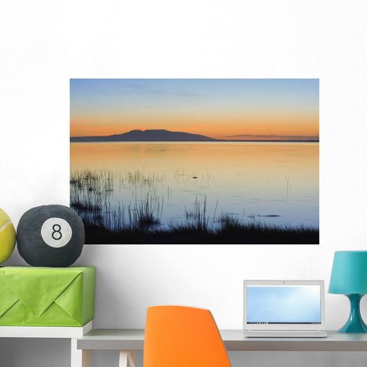 Sunset over Mount Susitna Wall Decal