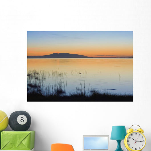 Sunset over Mount Susitna Wall Decal