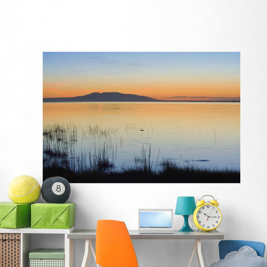 Sunset over Mount Susitna Wall Decal