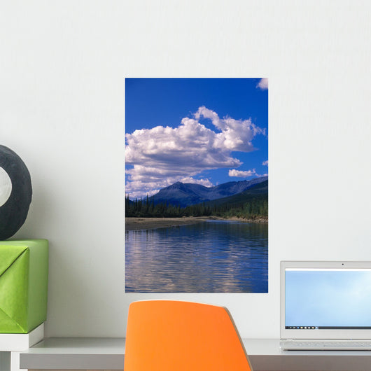 Clouds Reflecting John River Wall Decal