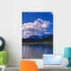 Clouds Reflecting John River Wall Decal