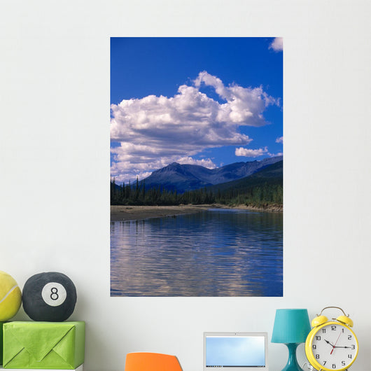 Clouds Reflecting John River Wall Decal