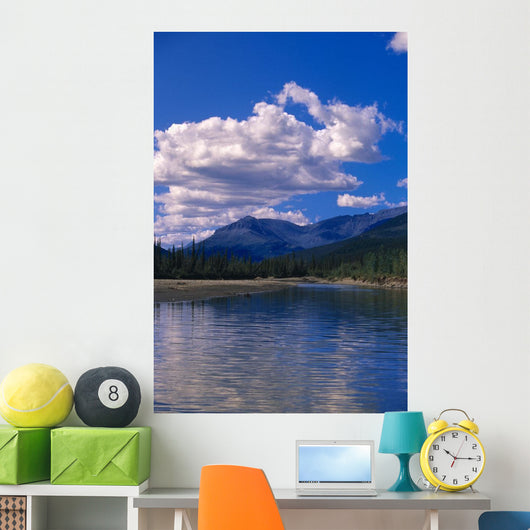 Clouds Reflecting John River Wall Decal
