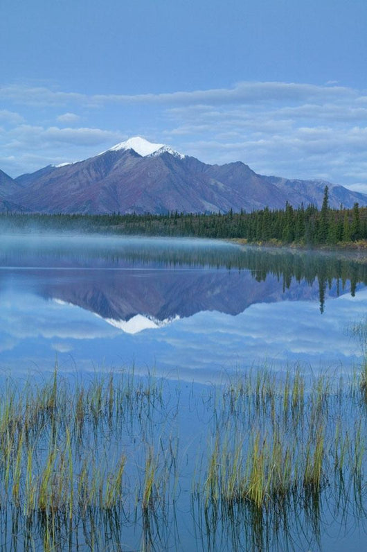 Mountains Reflect Wall Decal Design 2