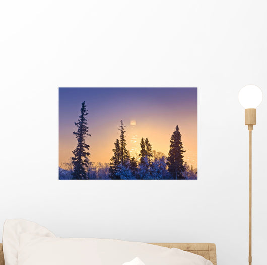 Spruce Trees Silhouetted against Wall Decal