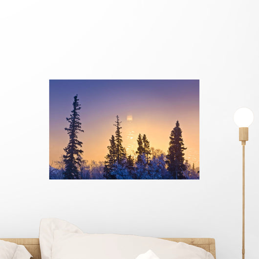 Spruce Trees Silhouetted against Wall Decal